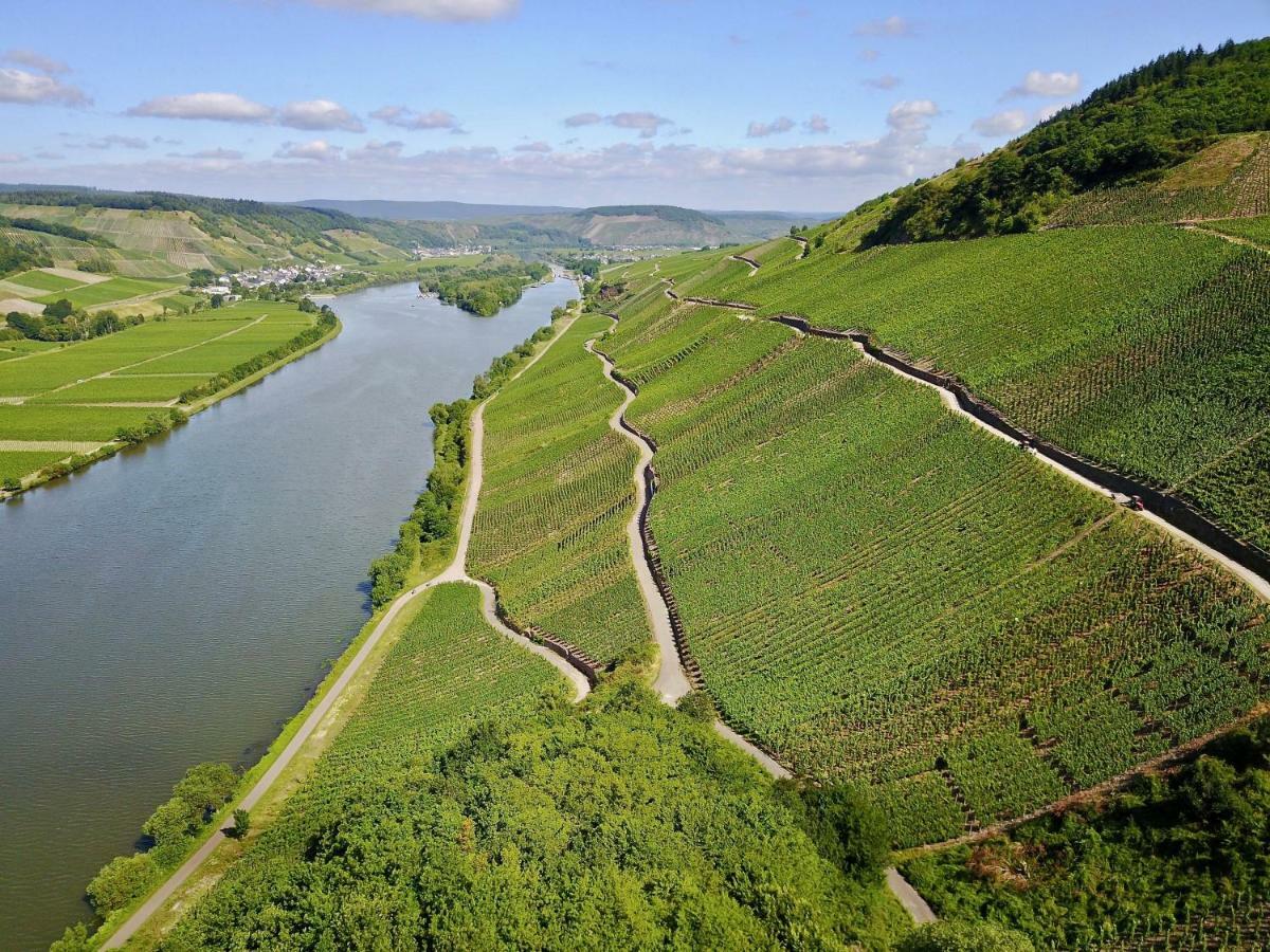 Bernkasteler Moselpanorama * Commune fusionnée de Bernkastel-Kues